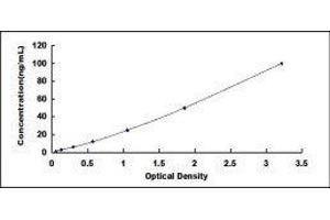 Toll-Like Receptor 6 (TLR6) ELISA Kit