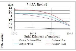 Black line: Control Antigen (100 ng), Purple line: Antigen(10 ng), Blue line: Antigen (50 ng), Red line: Antigen (100 ng), (PDPK1 antibody  (AA 457-556))