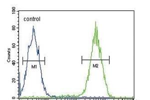 CD11b Antibody (N-term) (ABIN654625 and ABIN2844322) flow cytometric analysis of Jurkat cells (right histogram) compared to a negative control cell (left histogram). (CD11b antibody  (N-Term))