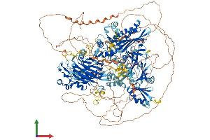 AlphaFold protein structure predicition of Mouse Recombinant Synj1 Protein, UniprotID Q8CHC4