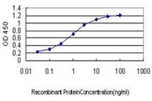 Detection limit for recombinant GST tagged ROBO1 is approximately 0. (ROBO1 antibody  (AA 491-589))