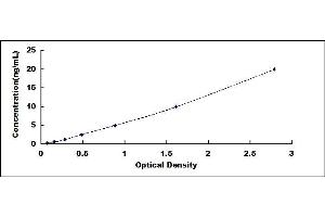 Typical standard curve (RGC32 ELISA Kit)