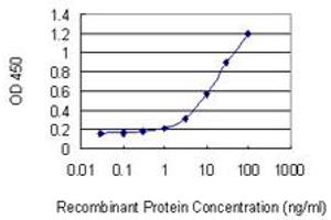 Detection limit for recombinant GST tagged RNF126 is 0. (RNF126 antibody  (AA 1-326))