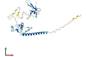 AlphaFold protein structure predicition of Mouse Recombinant Mbd3 Protein, UniprotID Q9Z2D8 (MBD3 Protein (AA 1-285) (His tag))