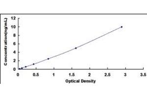 Typical standard curve (ARNTL ELISA Kit)