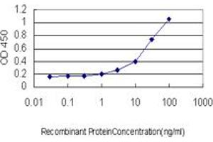 ELISA image for anti-serum/glucocorticoid Regulated Kinase 1 (SGK1) (AA 1-432) antibody (ABIN598922) (SGK1 antibody  (AA 1-432))