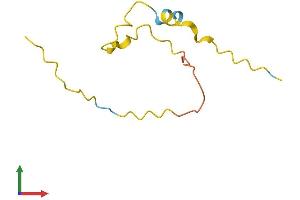 AlphaFold protein structure predicition of Mouse Recombinant Fam229b Protein, UniprotID Q8CF36