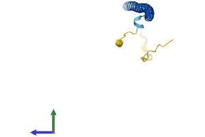 AlphaFold protein structure predicition of Human Recombinant BATF3 Protein, UniprotID Q9NR55 (BATF3 Protein (AA 1-127) (His tag))