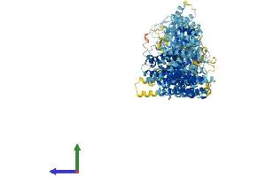 AlphaFold protein structure predicition of Mouse Recombinant Mms22l Protein, UniprotID B1AUR6 (MMS22-Like, DNA Repair Protein (MMS22L) (AA 1-1238) protein (His tag))