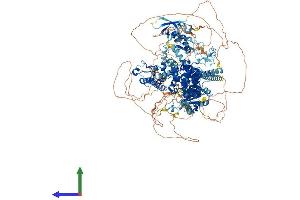 AlphaFold protein structure predicition of Mouse Recombinant Baz1a Protein, UniprotID O88379