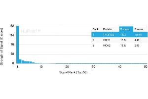 Analysis of Protein Array containing >19,000 full-length human proteins using TACSTD2 Mouse Monoclonal Antibody (TACSTD2/2151) Z- and S- Score: The Z-score represents the strength of a signal that a monoclonal antibody (MAb) (in combination with a fluorescently-tagged anti-IgG secondary antibody) produces when binding to a particular protein on the HuProtTM array. (TACSTD2 antibody  (AA 31-274))