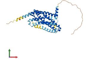 Protein Structure (PS) image for Chemokine (C-X-C Motif) Receptor 6 (CXCR6) (AA 1-342) protein (His tag) (ABIN7546928)