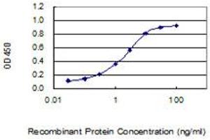 Detection limit for recombinant GST tagged ANKS3 is 0. (ANKS3 antibody  (AA 1-527))