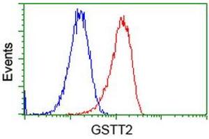 Flow cytometric Analysis of Hela cells, using anti-GSTT2 antibody (ABIN2453096), (Red), compared to a nonspecific negative control antibody (TA50011), (Blue). (GSTT2 antibody)