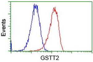 Flow cytometric Analysis of Hela cells, using anti-GSTT2 antibody (ABIN2453096), (Red), compared to a nonspecific negative control antibody (TA50011), (Blue).