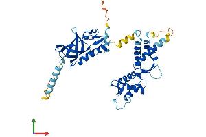 AlphaFold protein structure predicition of Human Recombinant STN1 Protein, UniprotID Q9H668 (OBFC1 Protein (AA 1-368) (His tag))
