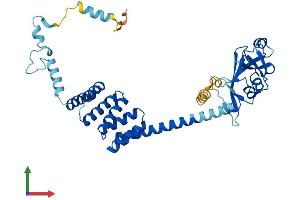 AlphaFold protein structure predicition of Human Recombinant TTC4 Protein, UniprotID O95801 (TTC4 Protein (AA 1-387) (His tag))