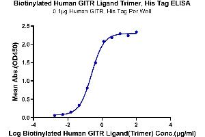 Immobilized Human GITR, His Tag at 1 μg/mL (100 μL/Well). (TNFSF18 Protein (Trimer) (His-DYKDDDDK Tag,Biotin))