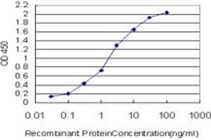 Detection limit for recombinant GST tagged BARX1 is approximately 0. (BARX1 antibody  (AA 1-100))