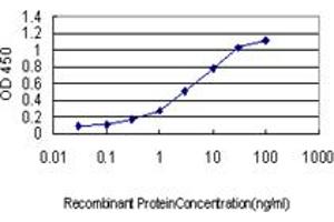 Detection limit for recombinant GST tagged ICOSLG is approximately 0. (ICOSLG antibody  (AA 20-302))