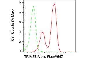 Flow cytometric analysis of TRIM56 expression in HT- cells using TRIM56 antibody (ABIN7800639), 1:2,000). (Recombinant TRIM56 antibody)