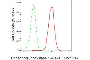 Flow cytometric analysis of Phosphoglucomutase 1 expression in HepG2 cells using Phosphoglucomutase 1 antibody (ABIN7799805), 1:2,000). (Recombinant Phosphoglucomutase 1 antibody)