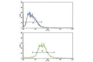 Flow cytometric analysis of HepG2 cells using IL17RB antibody (bottom histogram) compared to a negative control (top histogram). (IL17 Receptor B antibody  (AA 207-234))