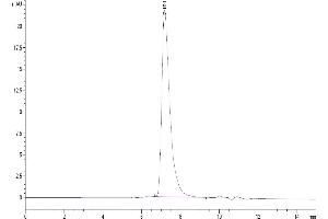The purity of Biotinylated Human MSLN was greater than 95 % as determined by SEC-HPLC. (Mesothelin Protein (MSLN) (His-Avi Tag,Biotin))