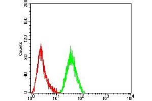 Flow cytometric analysis of THP-1 cells using CD171 mouse mAb (green) and negative control (red). (L1CAM antibody  (AA 20-197))