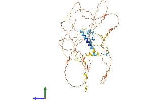 AlphaFold protein structure predicition of Human Recombinant FAM217A Protein, UniprotID Q8IXS0 (FAM217A Protein (AA 1-508) (His tag))
