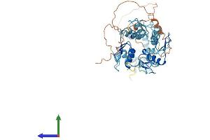 AlphaFold protein structure predicition of Human Recombinant ZNF682 Protein, UniprotID O95780 (ZNF682 Protein (AA 1-498) (His tag))