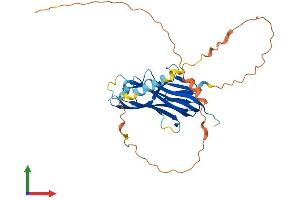 AlphaFold protein structure predicition of Mouse Recombinant Tnfsf9 Protein, UniprotID P41274 (TNFSF9 Protein (AA 1-309) (His tag))
