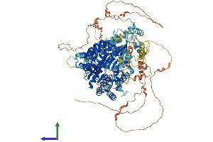 AlphaFold protein structure predicition of Human Recombinant CIITA Protein, UniprotID P33076