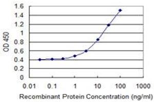 Detection limit for recombinant GST tagged RND3 is 0. (RND3 antibody  (AA 1-244))