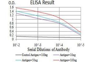 Black line: Control Antigen (100 ng);Purple line: Antigen (10ng); Blue line: Antigen (50 ng); Red line:Antigen (100 ng) (DAPP1 antibody  (AA 127-276))