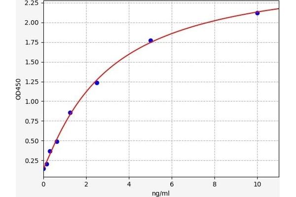 PMP22 ELISA Kit