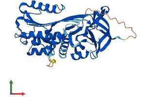 AlphaFold protein structure predicition of Human Recombinant SERPINB6 Protein, UniprotID P35237 (SERPINB6 Protein (AA 1-376) (His tag))