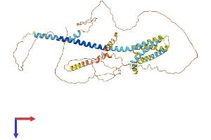 AlphaFold protein structure predicition of Human Recombinant TMEM266 Protein, UniprotID Q2M3C6 (Tmem266 Protein (AA 1-531) (His tag))