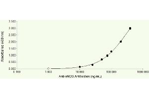 ELISA image for anti-Nitric Oxide Synthase 3 (Endothelial Cell) (NOS3) antibody (ABIN7538097)