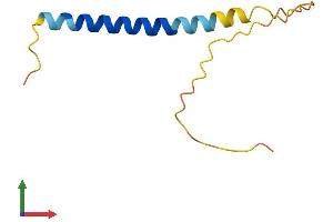 AlphaFold protein structure predicition of Human Recombinant SNN Protein, UniprotID O75324 (Stannin (SNN) (AA 1-88) protein (Fc Tag))