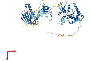 AlphaFold protein structure predicition of Human Recombinant HSP90AB3P Protein, UniprotID Q58FF7 (HSP90AB3P Protein (AA 1-597) (His tag))