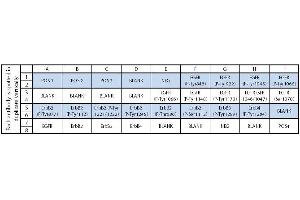 Image no. 1 for Human EGFR Phosphorylation Array C1 (ABIN625607) (Human EGFR Phosphorylation Array C1)