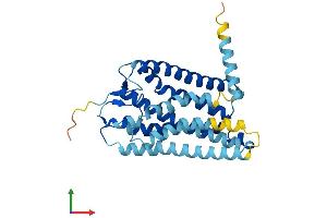 AlphaFold protein structure predicition of Human Recombinant OR4K3 Protein, UniprotID Q96R72 (OR4K3 Protein (AA 1-315) (His tag))