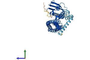 Protein Structure (PS) image for Sorting Nexin 32 (SNX32) (AA 1-404) protein (His tag) (ABIN7558456)