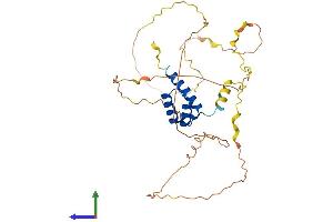 AlphaFold protein structure predicition of Mouse Recombinant Hoxd9 Protein, UniprotID P28357