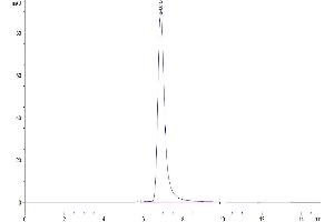 The purity of Mouse P-Selectin/CD62P is greater than 95 % as determined by SEC-HPLC. (P-Selectin Protein (AA 42-709) (His tag))