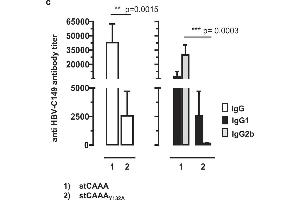 ELISA image for Rabbit anti-Mouse IgG2b antibody (HRP) (ABIN102401)
