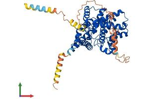 AlphaFold protein structure predicition of Mouse Recombinant Pde7a Protein, UniprotID P70453 (PDE7A Protein (AA 1-456) (His tag))