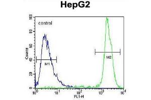 GPAM Antibody (Center) flow cytometric analysis of HepG2 cells (right histogram) compared to a negative control cell (left histogram). (GPAM antibody  (Middle Region))