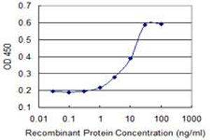 Detection limit for recombinant GST tagged DUSP1 is 0. (DUSP1 antibody  (AA 305-367))